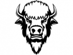 BisonHead's Avatar